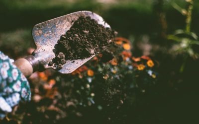 Top Tips On How To Use Organic Compost