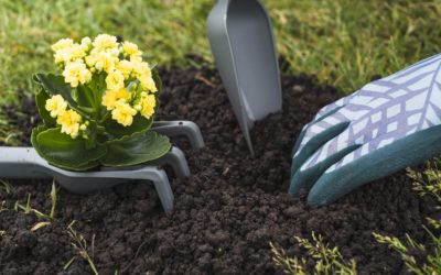 What Gardening Supplies Do Beginners Need?