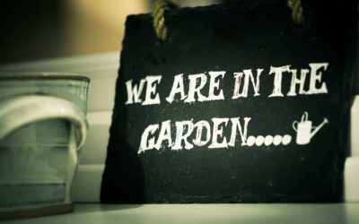 Landscaping Tips You Should Be Aware of – Turn Your Garden from Good to Great!