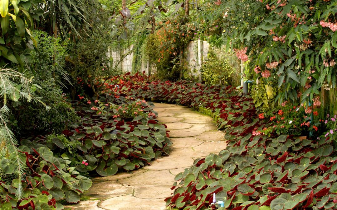 Landscaping tips – Get your Garden from Good to Great!