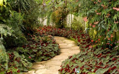 Landscaping tips – Get your Garden from Good to Great!
