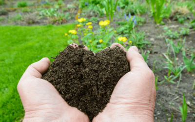 Organic Mushroom Compost – Great for your Garden!