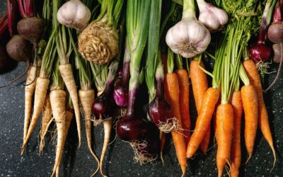 Which Vegetables Can You Plant in Winter?